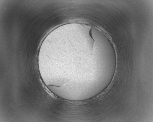 X0000082170816200702162259