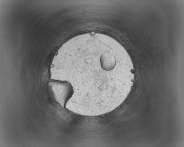 X0000082170820200702162258