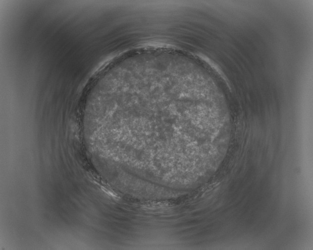 X0000082170823200702162258