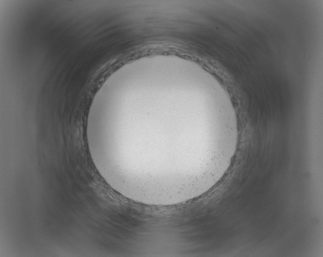 X0000082170824200702162258