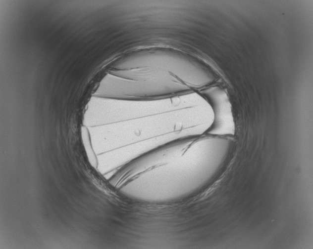 X0000082170826200702162258