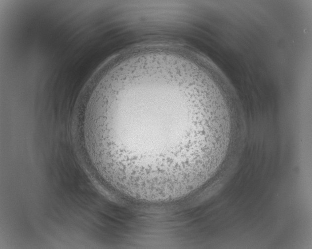 X0000082170828200702162258