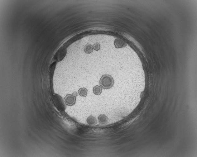 X0000082170829200702162258