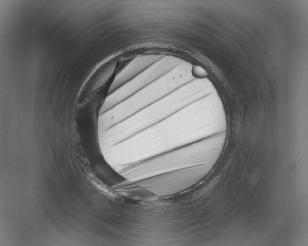 X0000082170830200702162258