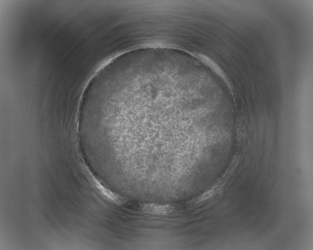 X0000082170831200702162258