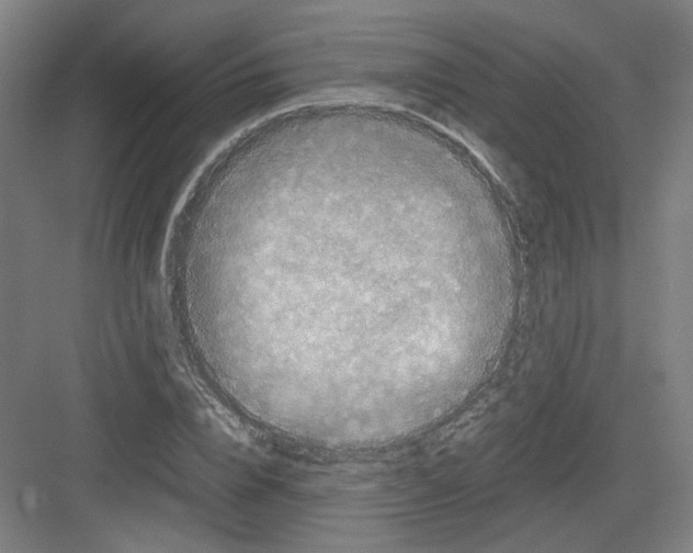 X0000082170832200702162258