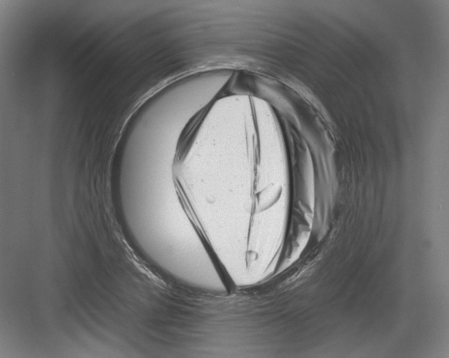 X0000082170834200702162259