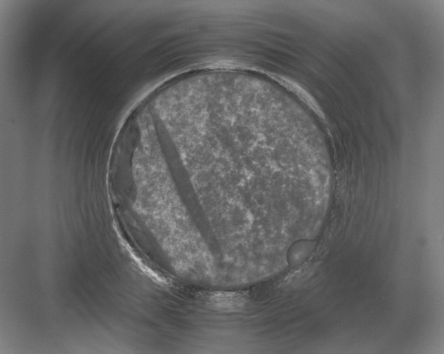 X0000082170839200702162259