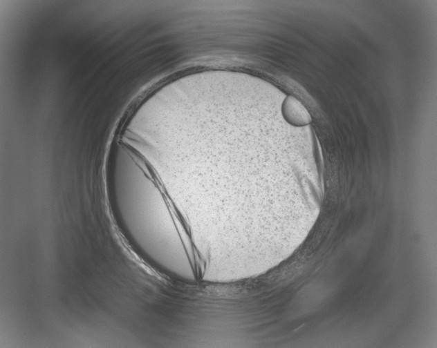 X0000082170840200702162259