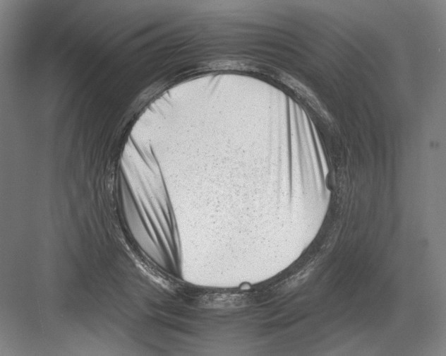 X0000082170841200702162259