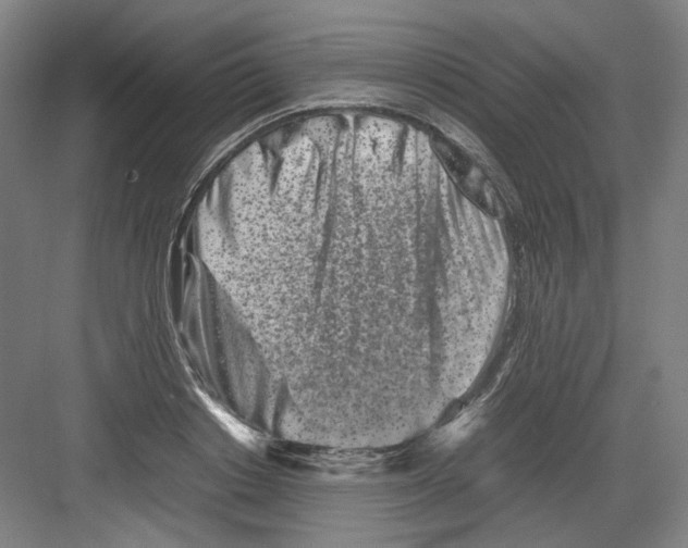 X0000082170842200702162259