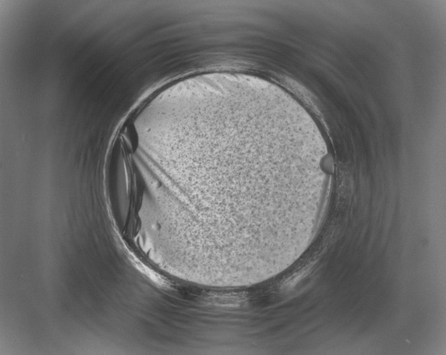 X0000082170843200702162259