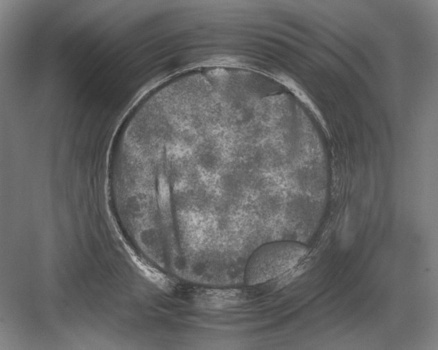 X0000082170845200702162259