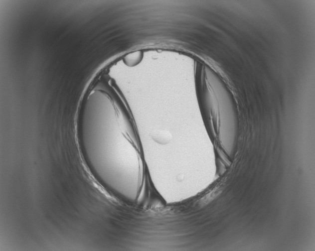 X0000082170846200702162259