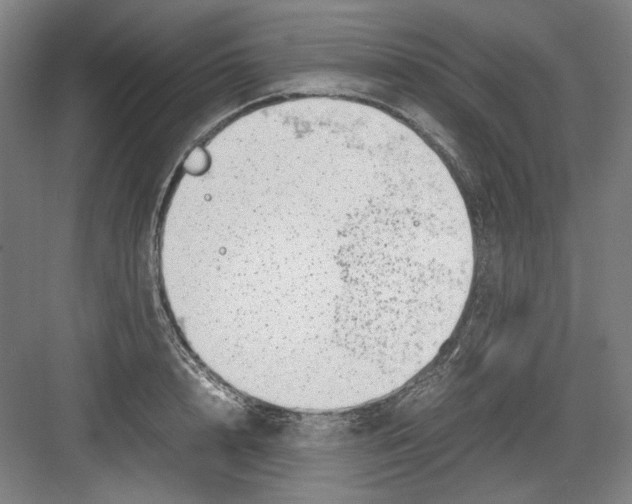 X0000082170848200702162259