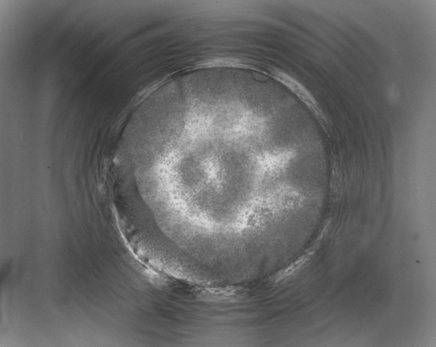 X0000082170849200702162259