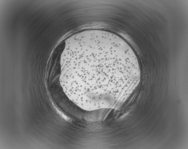 X0000082170850200702162259