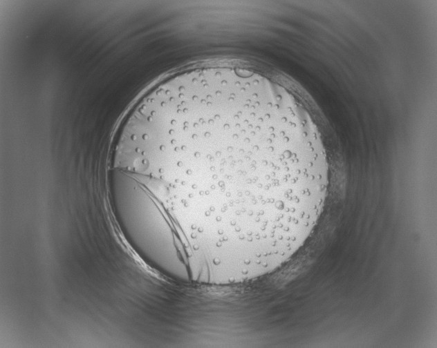 X0000082170852200702162259