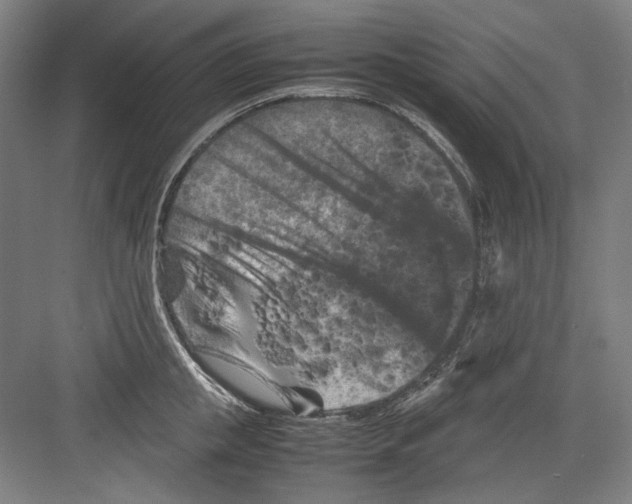 X0000082170853200702162259