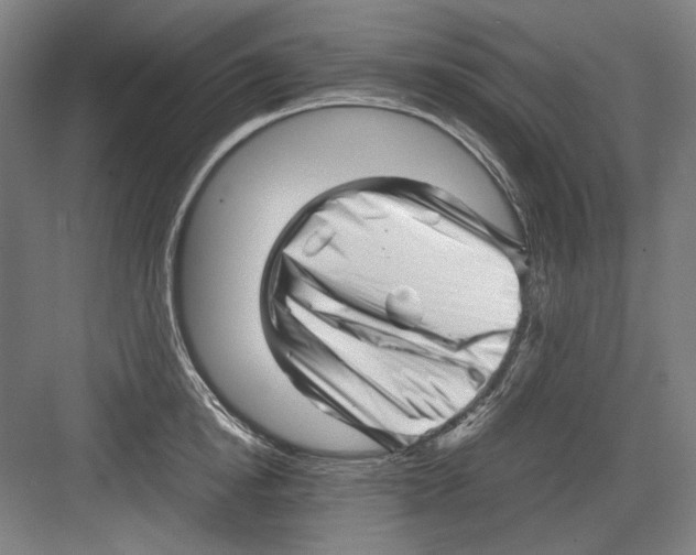 X0000082170854200702162259