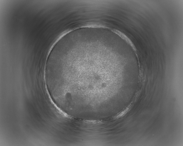 X0000082170855200702162259