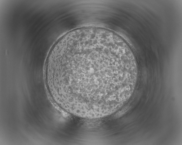 X0000082170856200702162259