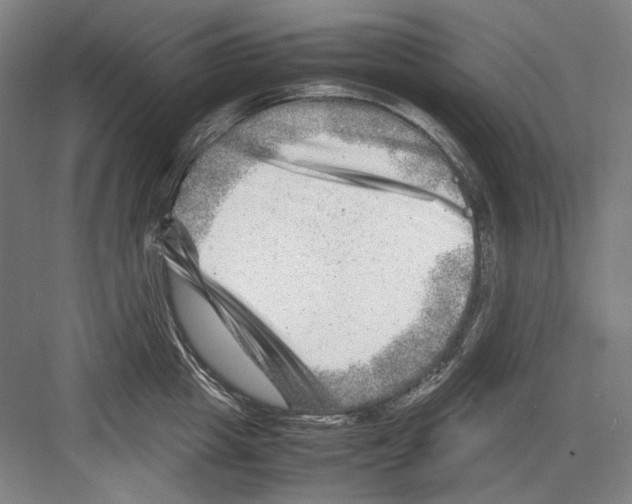 X0000082170857200702162259