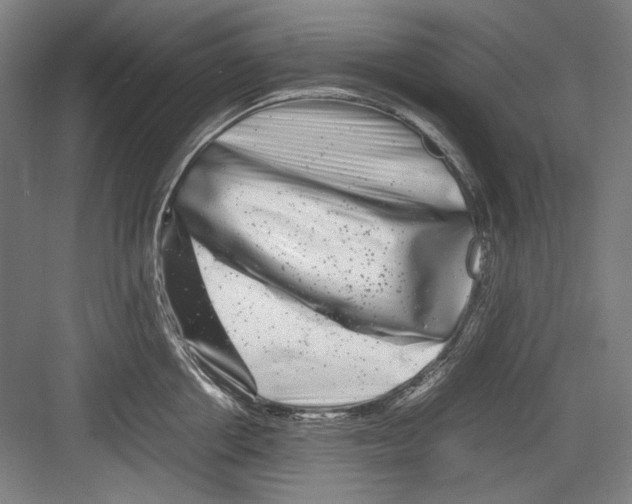 X0000082170858200702162259