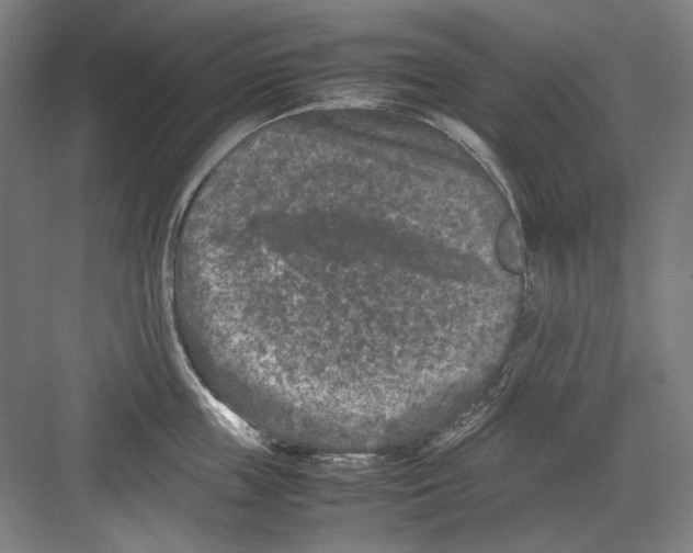 X0000082170859200702162259