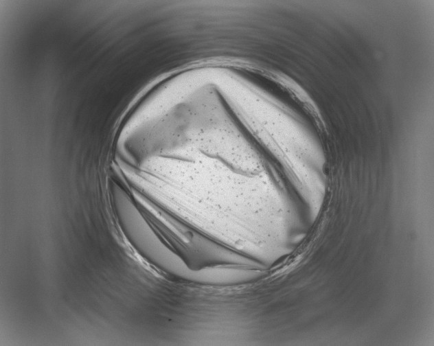 X0000082170860200702162259