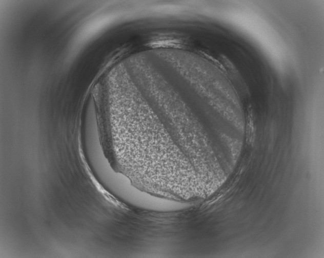 X0000082170861200702162259