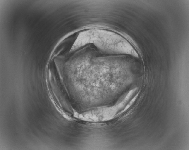 X0000082170862200702162259