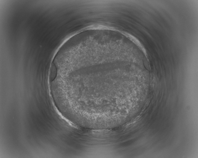 X0000082170863200702162259