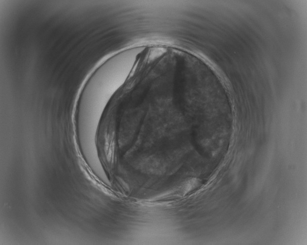 X0000082170864200702162259