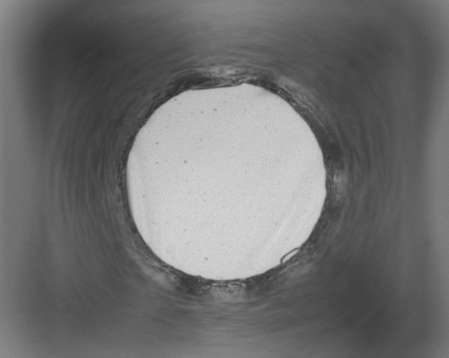 X0000082170865200702162258