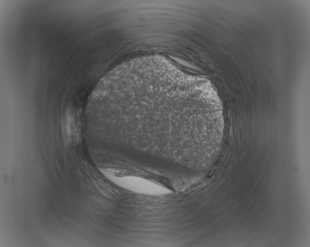 X0000082170868200702162258