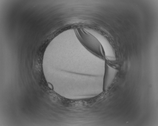 X0000082170869200702162258