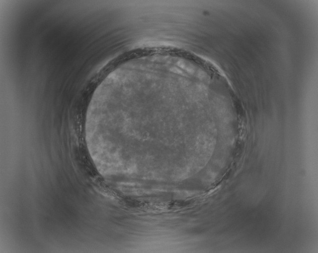 X0000082170871200702162258