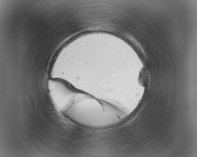 X0000082170876200702162258