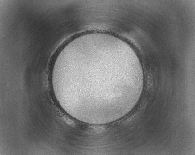 X0000082170878200702162258