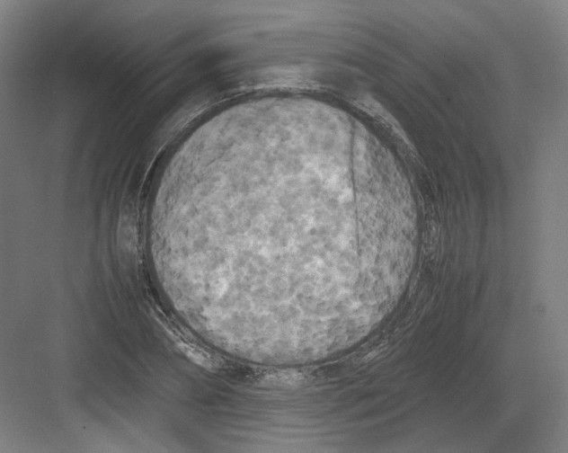 X0000082170882200702162258