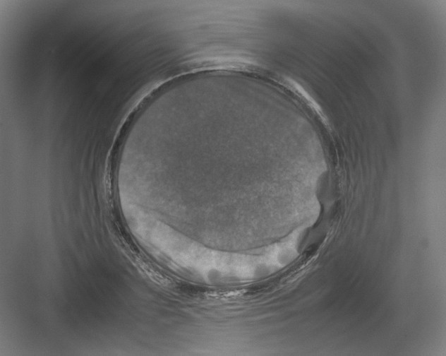 X0000082170883200702162258