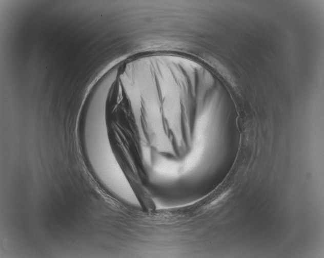 X0000082170885200702162258