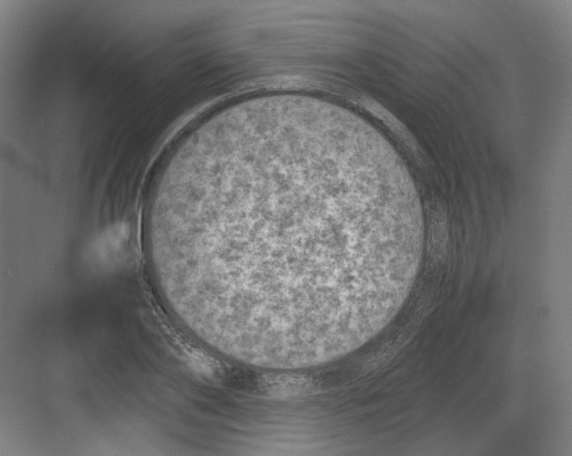 X0000082170886200702162258