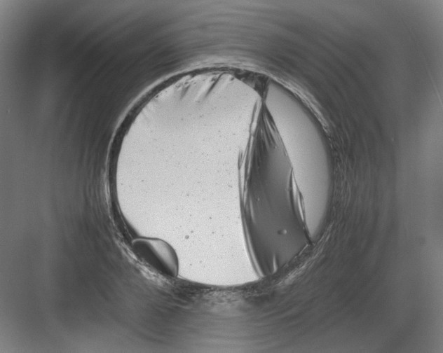 X0000082170888200702162258