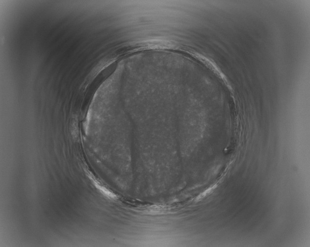 X0000082170889200702162258