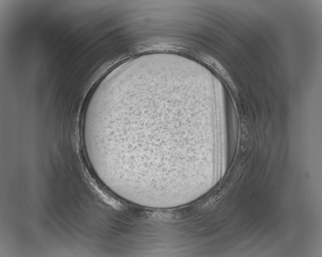 X0000082170890200702162258