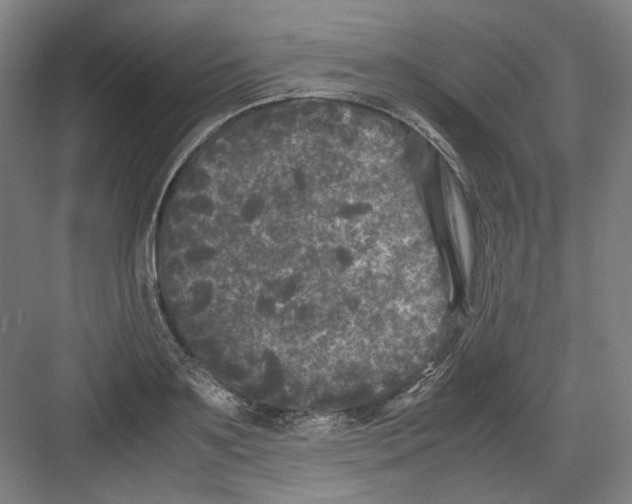 X0000082170891200702162258