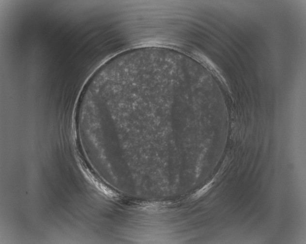 X0000082170892200702162258