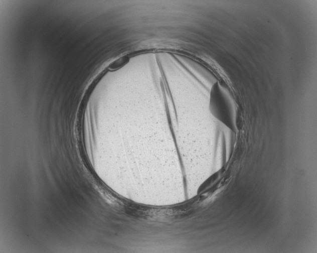 X0000082170893200702162258